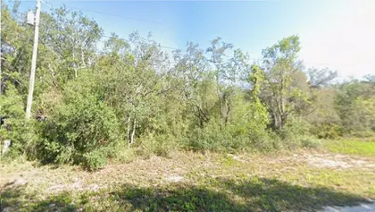 AVON PARK FL Property
