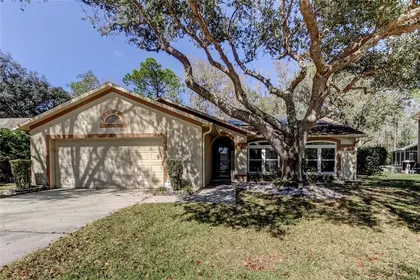 OLDSMAR FL Home