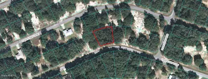 OCKLAWAHA FL Property
