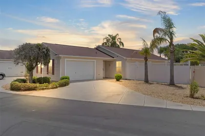 THE VILLAGES FL Home