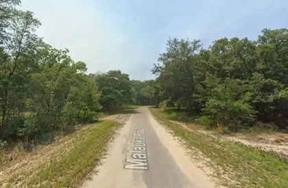 OCKLAWAHA FL Property