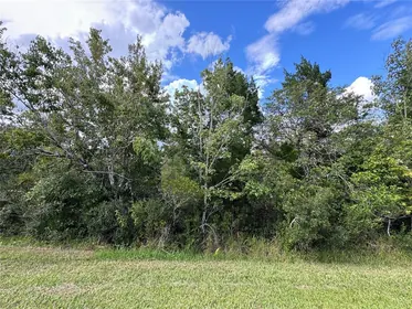 ORLANDO FL Property