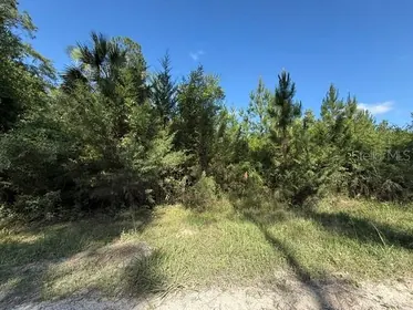 BUNNELL FL Property