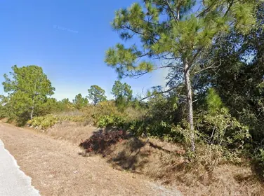 LEHIGH ACRES FL Property