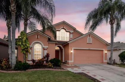 WESLEY CHAPEL FL Home