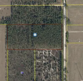 TRENTON FL Property