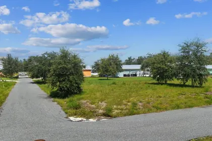STEINHATCHEE FL Property