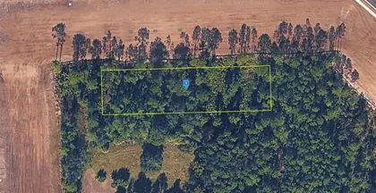 ORMOND BEACH FL Property
