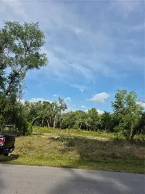 WEBSTER FL Property
