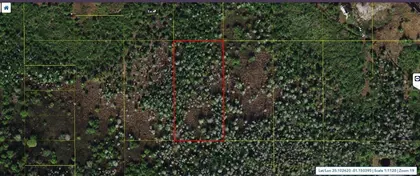 ST CLOUD FL Property
