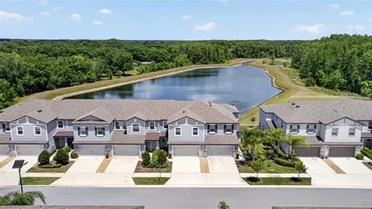 LUTZ FL Home