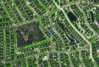 LAKE PLACID FL Property
