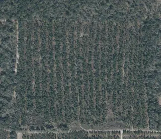 LIVE OAK FL Property