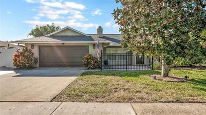PALM HARBOR FL Home
