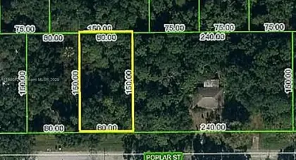 LAKE PLACID FL Property