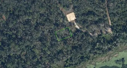 SEBRING FL Property