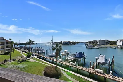 TIERRA VERDE FL Home