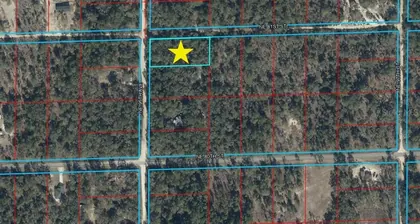BRONSON FL Property