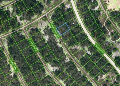 LAKE PLACID FL Property