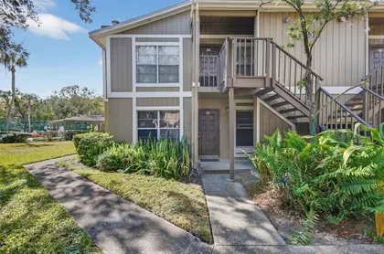 TAMPA FL Home