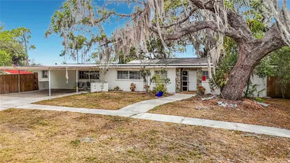 HOLIDAY FL Home