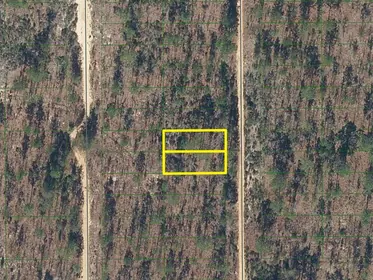 INTERLACHEN FL Property