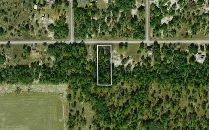 DUNNELLON FL Property