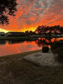 SUN CITY CENTER FL Home