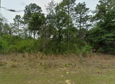 CITRUS SPRINGS FL Property