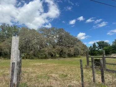 WESLEY CHAPEL FL Property