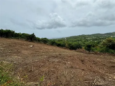 VIEQUES PR Property
