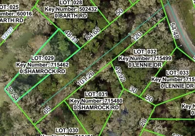 DADE CITY FL Property