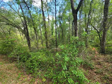 INVERNESS FL Property
