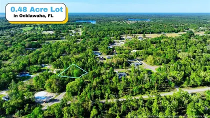 OCKLAWAHA FL Property