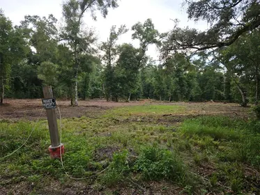 WEBSTER FL Property