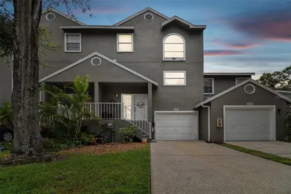 TAMPA FL Home