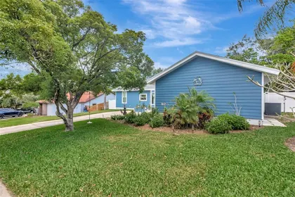 PALM HARBOR FL Home