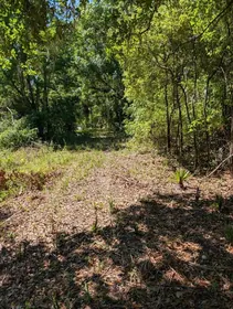 MC INTOSH FL Property