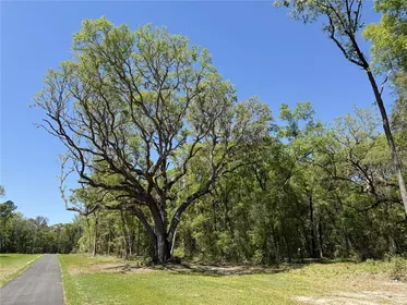REDDICK FL Property