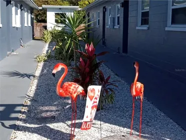 ST PETERSBURG FL Home