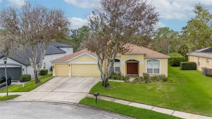 LITHIA FL Home