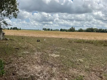 BRONSON FL Property