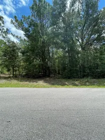 DUNNELLON FL Property
