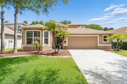 LAND O LAKES FL Home