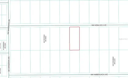 DUNNELLON FL Property