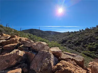 Other NV Property