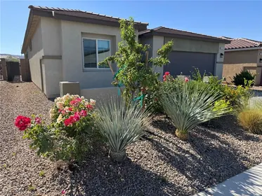 Henderson NV Home