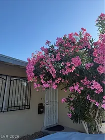 Las Vegas NV Home