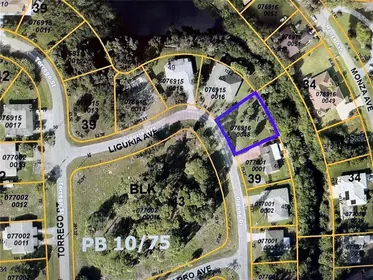 NORTH PORT FL Property