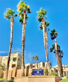 Laughlin NV Home